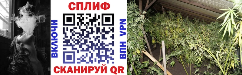 Конопля гибрид  цены наркотик  Гулькевичи 